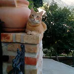 Peric