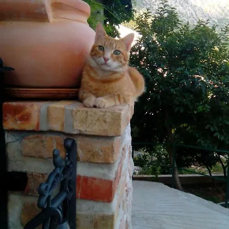 Peric